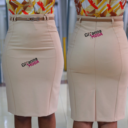 Panelled Pencil Skirt in Beige